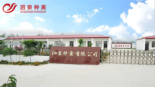 æªæ é¢-1 坿¬.jpg